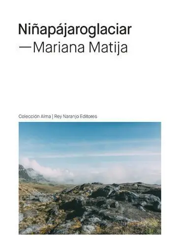 Niñapajaroglaciar