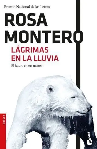 Lagrimas en la Lluvia