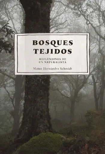 Bosques Tejidos