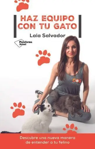 Haz Equipo con tu Gato (22)