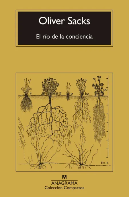 El Río de la Conciencia