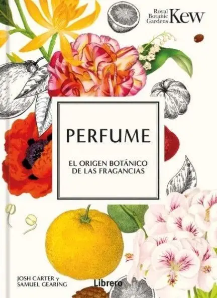 Perfume