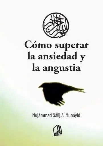 Como Superar la Ansiedad y la Angustia