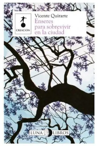 Enseres para Sobrevivir en la Ciudad