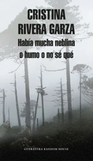 Habia Mucha Niebla o Humo o no se que